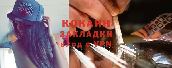 тгк Абаза
