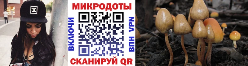 Галлюциногенные грибы мицелий Чкаловск